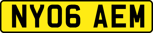 NY06AEM