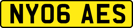 NY06AES