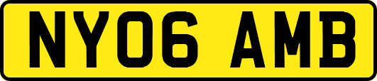 NY06AMB