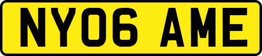 NY06AME