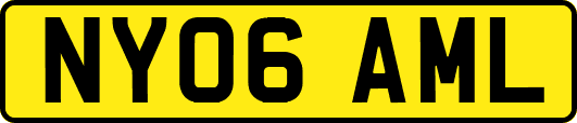 NY06AML