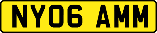 NY06AMM