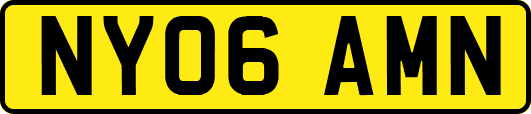 NY06AMN