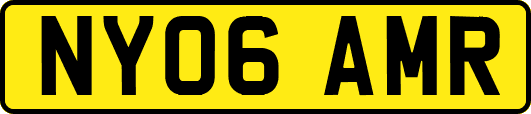 NY06AMR