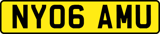 NY06AMU