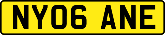 NY06ANE