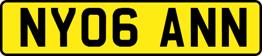 NY06ANN