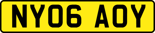 NY06AOY