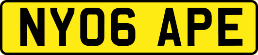 NY06APE