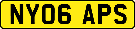 NY06APS