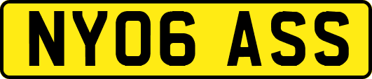 NY06ASS