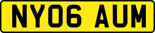NY06AUM