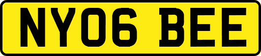 NY06BEE