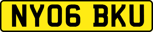 NY06BKU