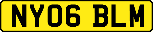 NY06BLM