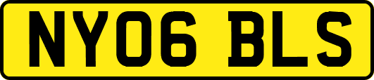 NY06BLS