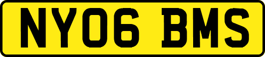 NY06BMS