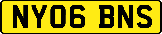 NY06BNS
