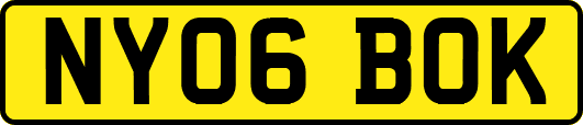 NY06BOK