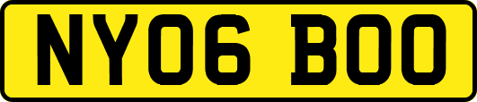 NY06BOO