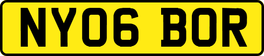 NY06BOR