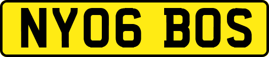 NY06BOS