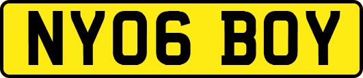 NY06BOY