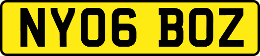 NY06BOZ