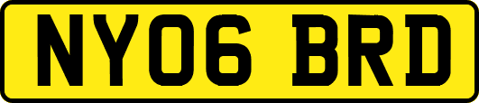 NY06BRD