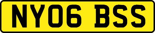 NY06BSS