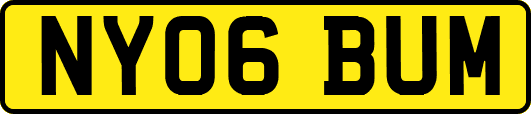 NY06BUM