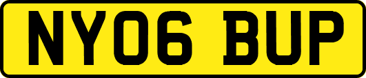 NY06BUP