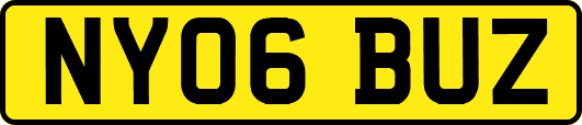 NY06BUZ