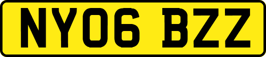 NY06BZZ