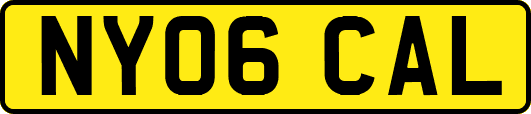 NY06CAL
