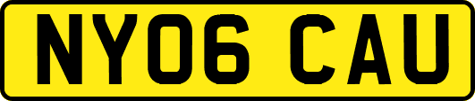 NY06CAU