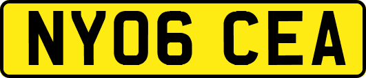 NY06CEA
