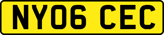 NY06CEC