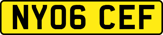 NY06CEF