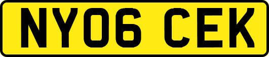 NY06CEK