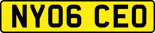 NY06CEO