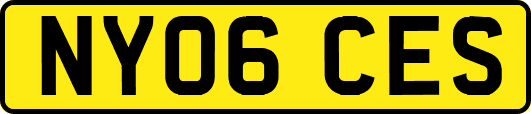 NY06CES