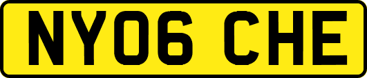 NY06CHE