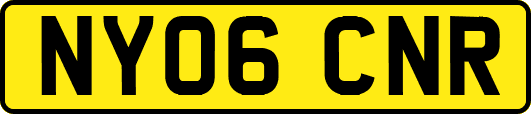 NY06CNR