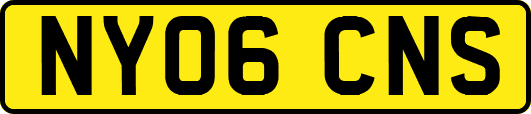 NY06CNS