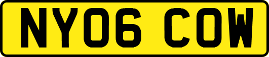 NY06COW