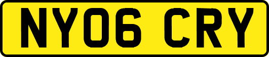 NY06CRY