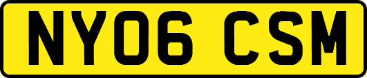 NY06CSM