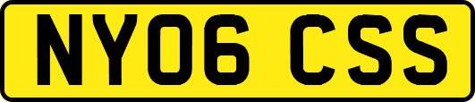 NY06CSS