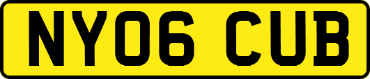 NY06CUB